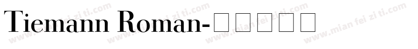Tiemann Roman字体转换